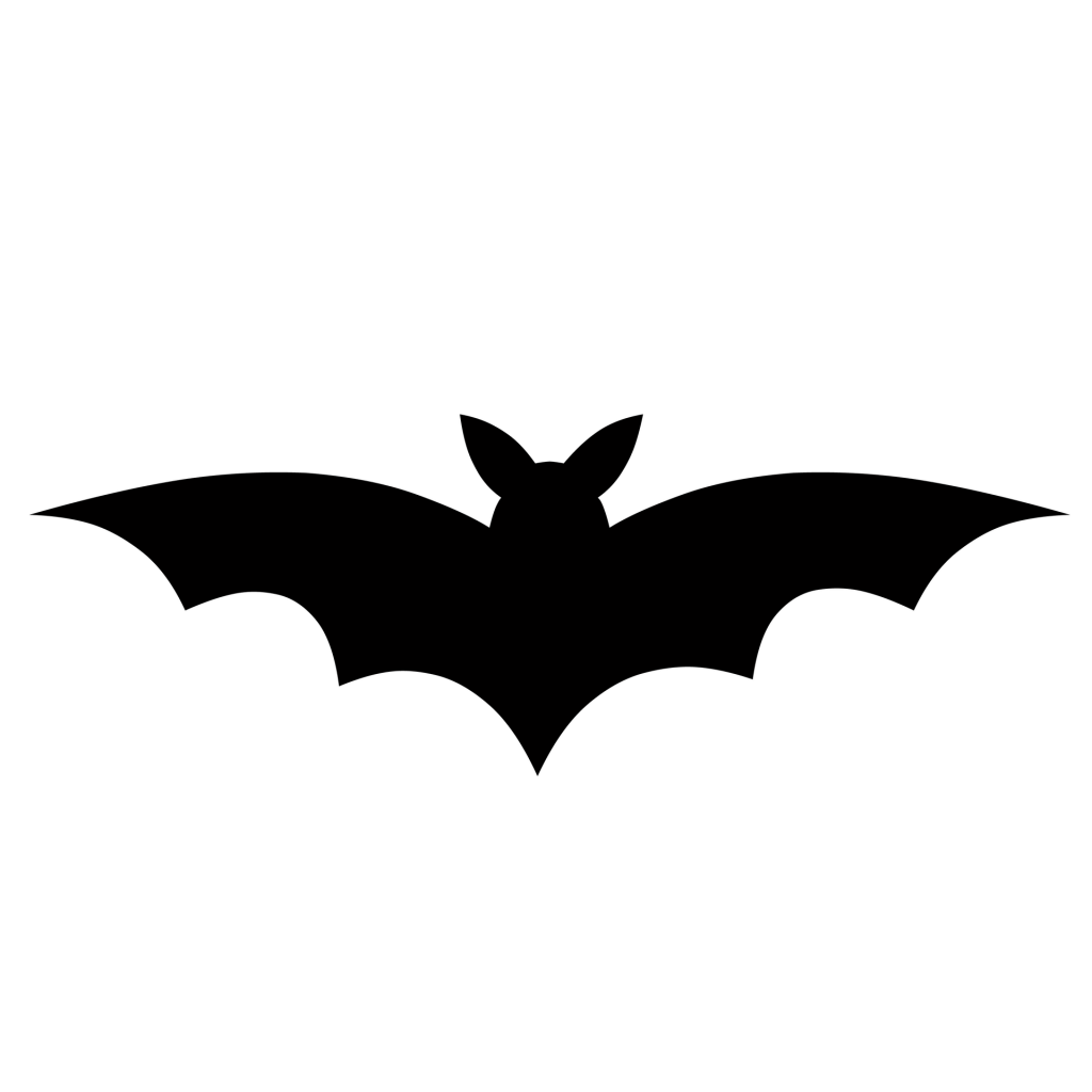 caballero de la noche